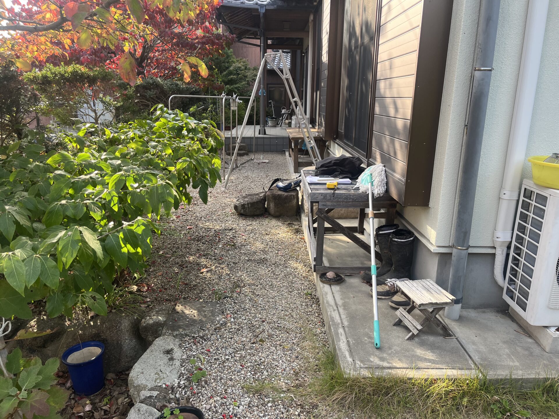 Before Image