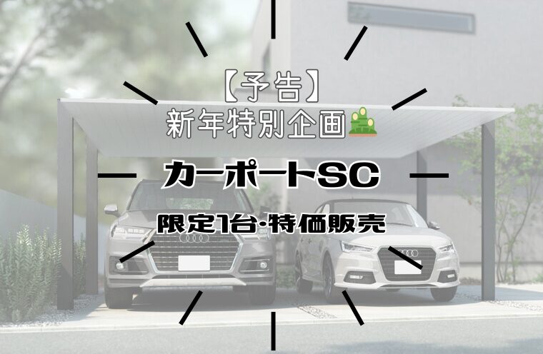 【予告】新年特別企画のお知らせ